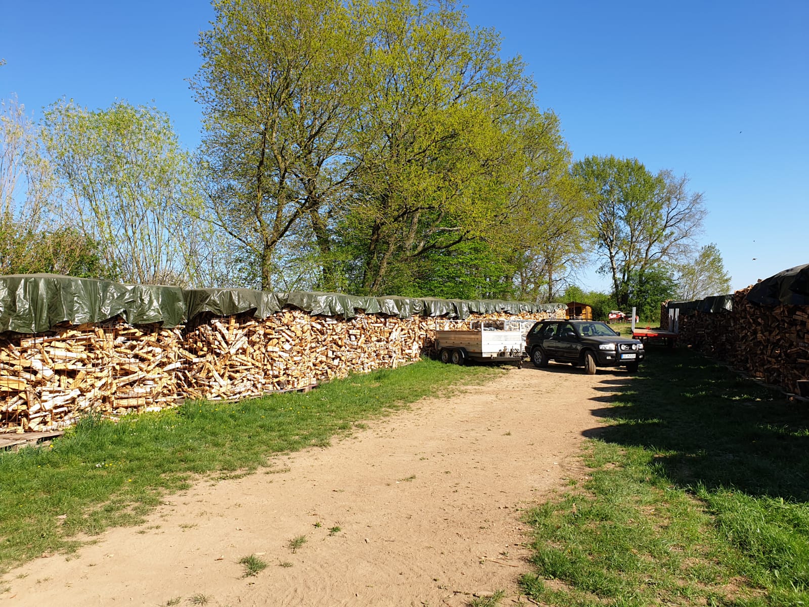 Holz Bad Rodach